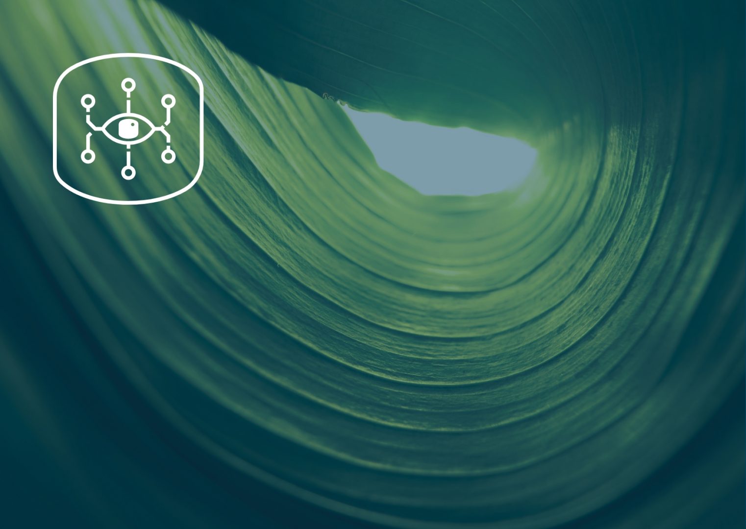 Data Management_RLG_1