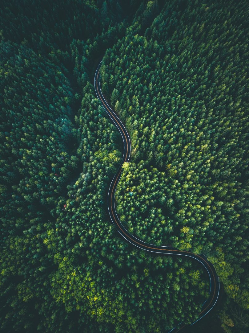 Forest Road Drone Aerial Green
